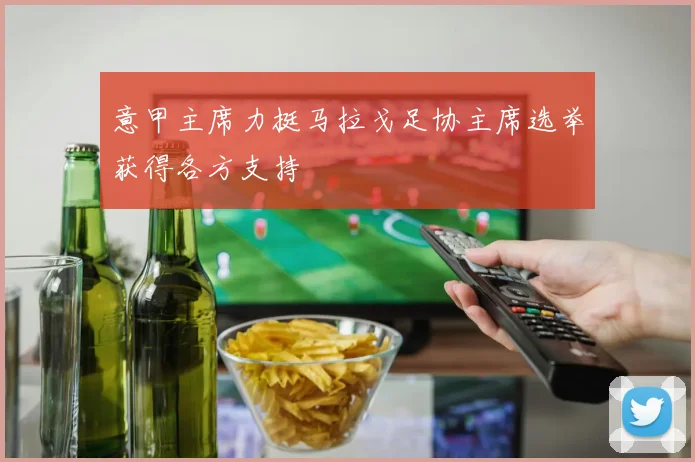 意甲主席力挺马拉戈足协主席选举获得各方支持